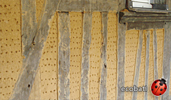 mur en structure bois maçonné avec des btc