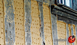 mur en structure bois maçonné avec des btc